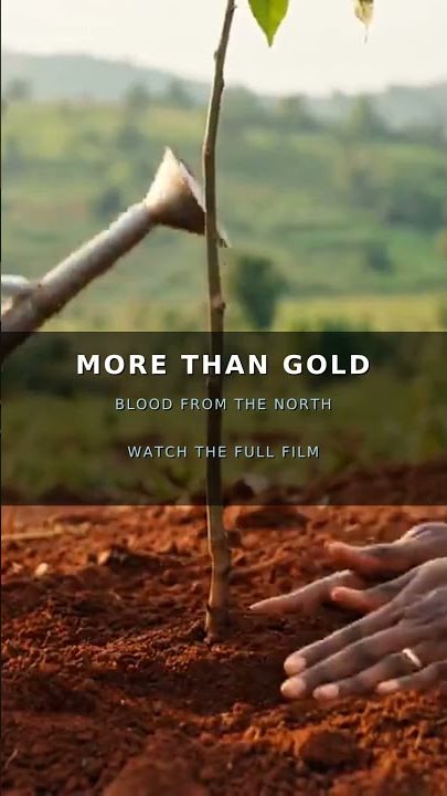 Blood From The North — More Than Gold Short